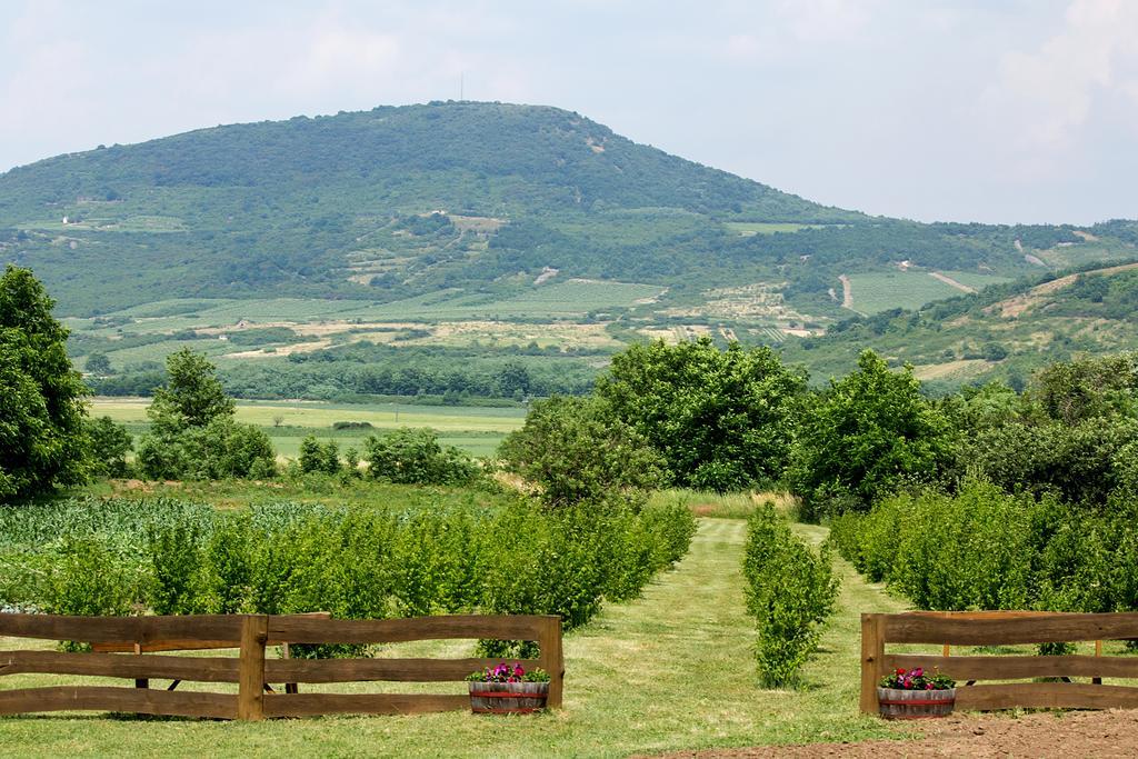 Kemencés Vendégház Golop Exterior foto